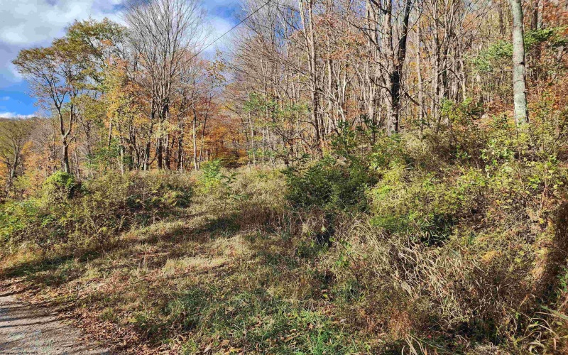 20 Meadows Road, Harman, West Virginia 26270, ,Lots/land,For Sale,Meadows,10162193 20 Meadows Road, Harman, West Virginia 26270, ,Lots/land,For Sale,Meadows,10162193