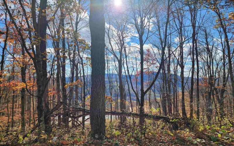 20 Meadows Road, Harman, West Virginia 26270, ,Lots/land,For Sale,Meadows,10162193 20 Meadows Road, Harman, West Virginia 26270, ,Lots/land,For Sale,Meadows,10162193