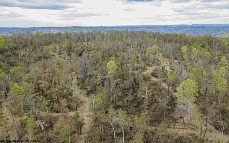 0 Rt. 310 East Grafton Road, Fairmont, West Virginia 26554, ,Lots/land,For Sale,Rt. 310 East Grafton,10162198 0 Rt. 310 East Grafton Road, Fairmont, West Virginia 26554, ,Lots/land,For Sale,Rt. 310 East Grafton,10162198