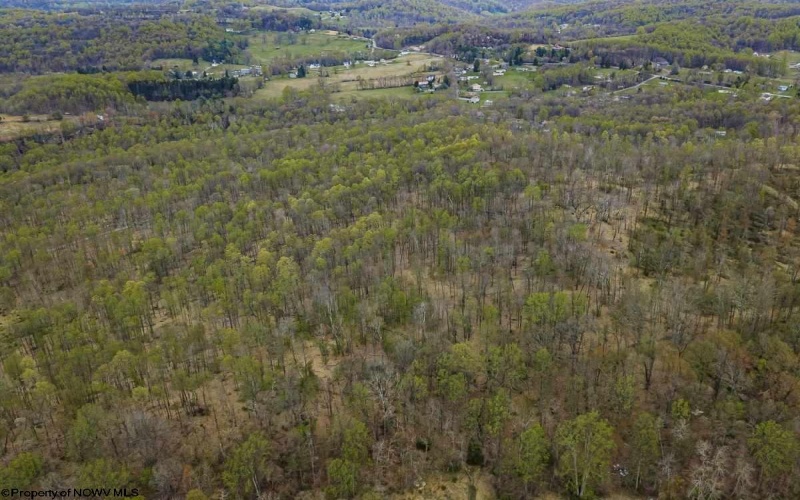 0 Rt. 310 East Grafton Road, Fairmont, West Virginia 26554, ,Lots/land,For Sale,Rt. 310 East Grafton,10162198 0 Rt. 310 East Grafton Road, Fairmont, West Virginia 26554, ,Lots/land,For Sale,Rt. 310 East Grafton,10162198