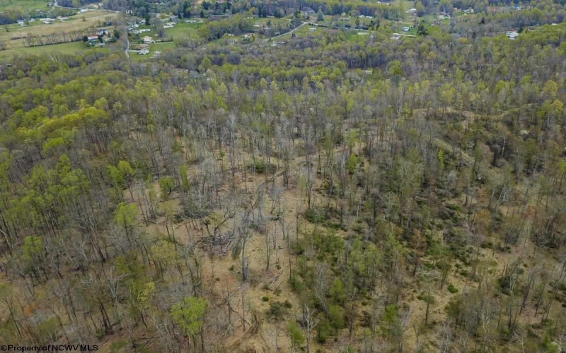 0 Rt. 310 East Grafton Road, Fairmont, West Virginia 26554, ,Lots/land,For Sale,Rt. 310 East Grafton,10162198 0 Rt. 310 East Grafton Road, Fairmont, West Virginia 26554, ,Lots/land,For Sale,Rt. 310 East Grafton,10162198