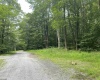 lot 42 Bobcat Road, Davis, West Virginia 26260, ,Lots/land,For Sale,Bobcat,10157334 lot 42 Bobcat Road, Davis, West Virginia 26260, ,Lots/land,For Sale,Bobcat,10157334