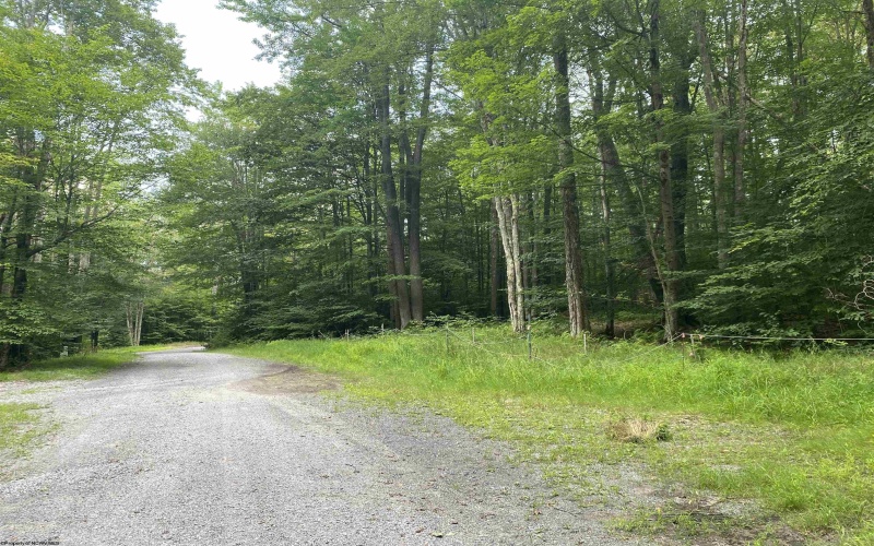 lot 42 Bobcat Road, Davis, West Virginia 26260, ,Lots/land,For Sale,Bobcat,10157334 lot 42 Bobcat Road, Davis, West Virginia 26260, ,Lots/land,For Sale,Bobcat,10157334