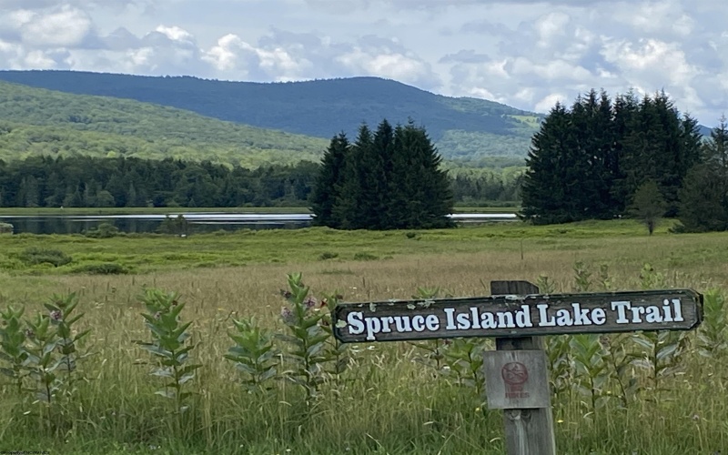 lot 42 Bobcat Road, Davis, West Virginia 26260, ,Lots/land,For Sale,Bobcat,10157334 lot 42 Bobcat Road, Davis, West Virginia 26260, ,Lots/land,For Sale,Bobcat,10157334