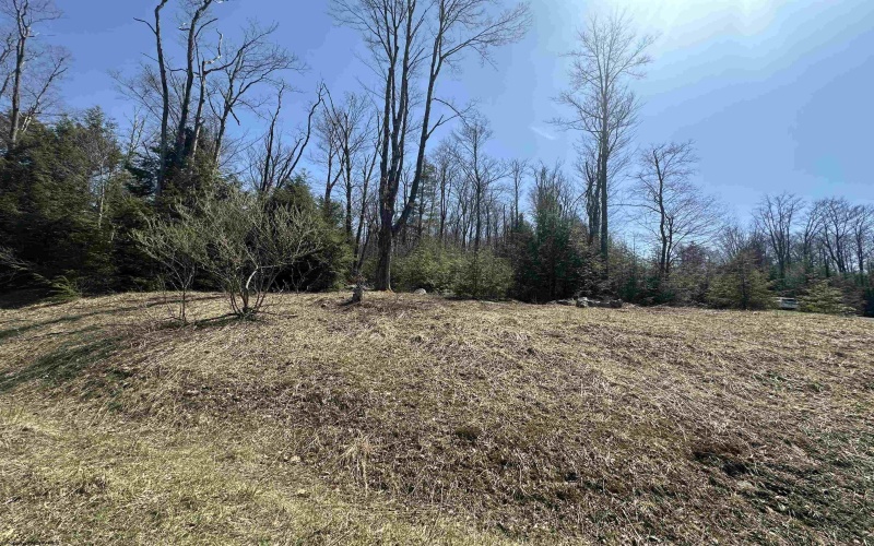 Lot 195 Florence Court, Davis, West Virginia 26260, ,Lots/land,For Sale,Florence,10159055