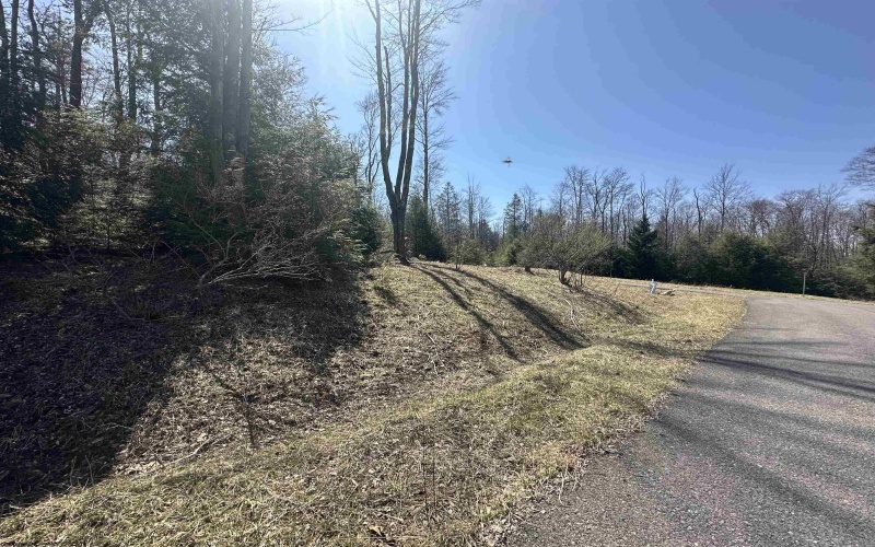 Lot 195 Florence Court, Davis, West Virginia 26260, ,Lots/land,For Sale,Florence,10159055