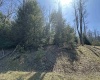 Lot 195 Florence Court, Davis, West Virginia 26260, ,Lots/land,For Sale,Florence,10159055