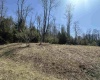 Lot 195 Florence Court, Davis, West Virginia 26260, ,Lots/land,For Sale,Florence,10159055