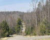 Lot 195 Florence Court, Davis, West Virginia 26260, ,Lots/land,For Sale,Florence,10159055