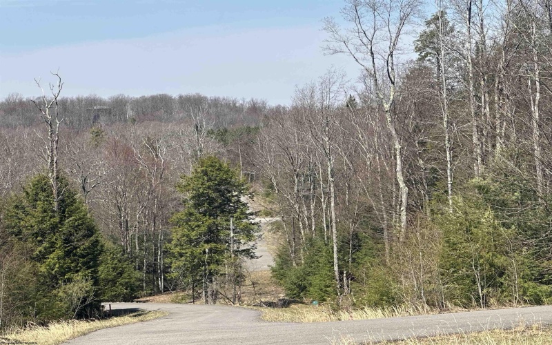 Lot 195 Florence Court, Davis, West Virginia 26260, ,Lots/land,For Sale,Florence,10159055