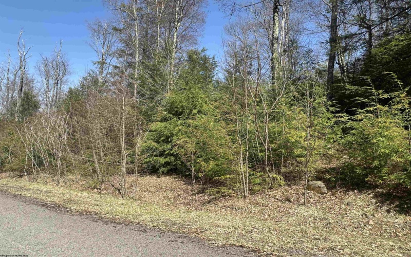 Lot 195 Florence Court, Davis, West Virginia 26260, ,Lots/land,For Sale,Florence,10159055