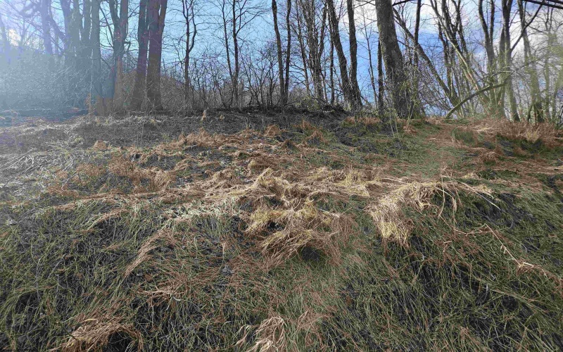 TBD Catherine Street, Rowlesburg, West Virginia 26425, ,Lots/land,For Sale,Catherine,10157953