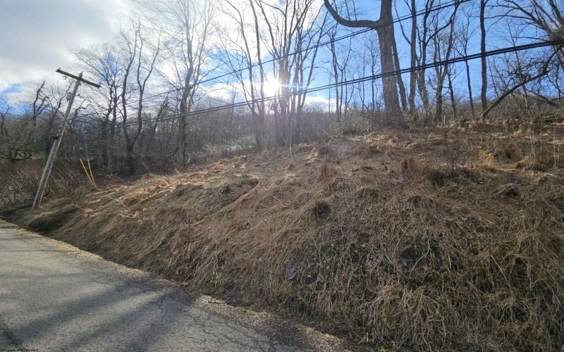 TBD Catherine Street, Rowlesburg, West Virginia 26425, ,Lots/land,For Sale,Catherine,10157953