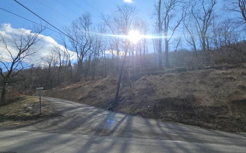 TBD Catherine Street, Rowlesburg, West Virginia 26425, ,Lots/land,For Sale,Catherine,10157953