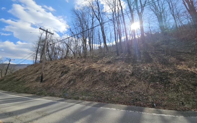 TBD Catherine Street, Rowlesburg, West Virginia 26425, ,Lots/land,For Sale,Catherine,10157953
