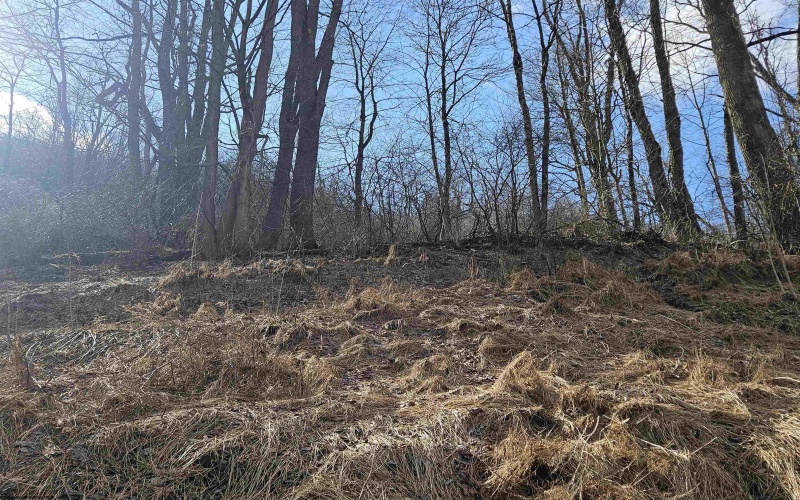 TBD Catherine Street, Rowlesburg, West Virginia 26425, ,Lots/land,For Sale,Catherine,10157953