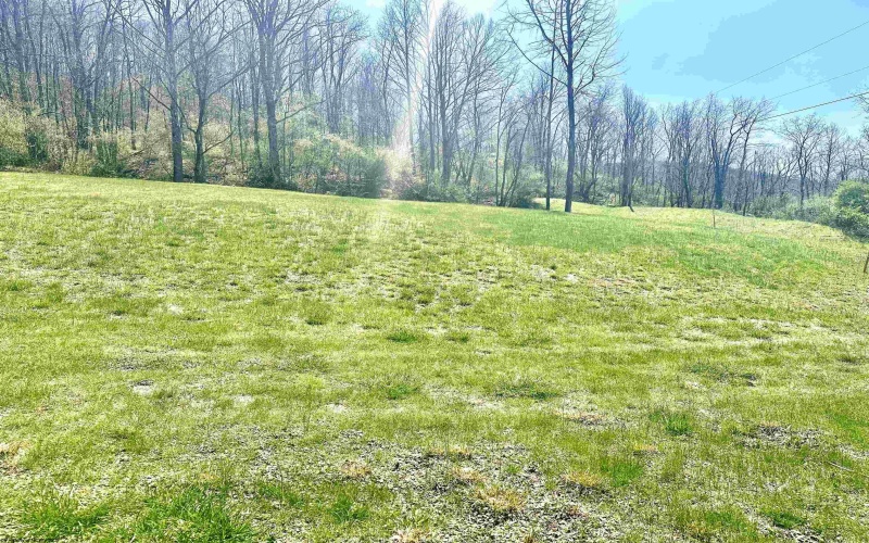 TBD Walkersville Road, Walkersville, West Virginia 26447, ,Lots/land,For Sale,Walkersville,10158939