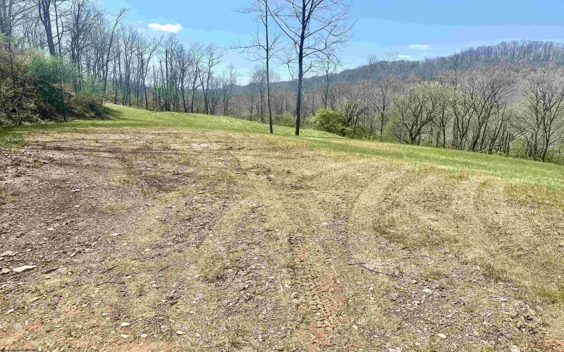 TBD Walkersville Road, Walkersville, West Virginia 26447, ,Lots/land,For Sale,Walkersville,10158939