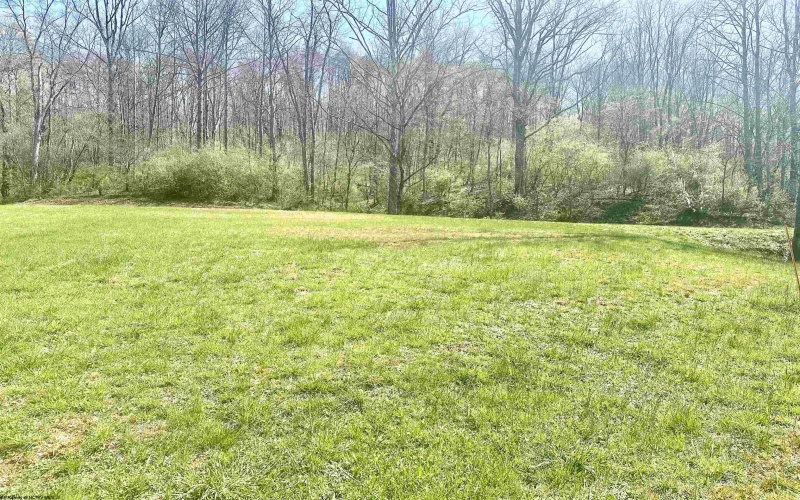 TBD Walkersville Road, Walkersville, West Virginia 26447, ,Lots/land,For Sale,Walkersville,10158939