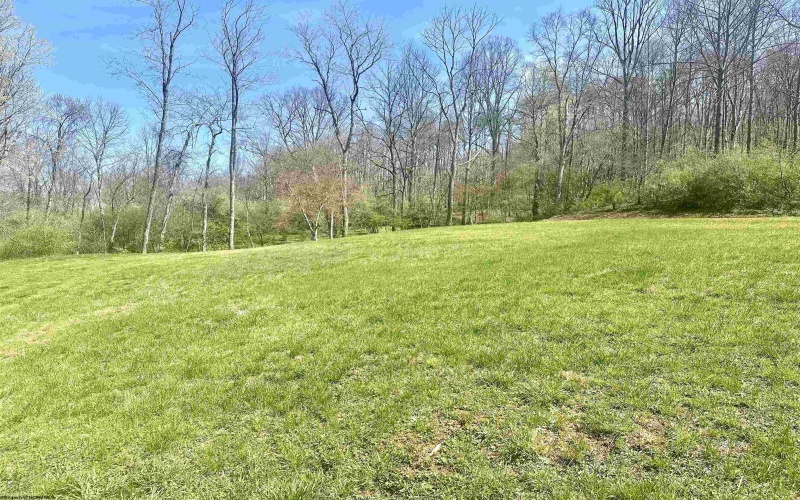 TBD Walkersville Road, Walkersville, West Virginia 26447, ,Lots/land,For Sale,Walkersville,10158939