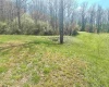 TBD Walkersville Road, Walkersville, West Virginia 26447, ,Lots/land,For Sale,Walkersville,10158939