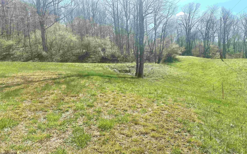 TBD Walkersville Road, Walkersville, West Virginia 26447, ,Lots/land,For Sale,Walkersville,10158939