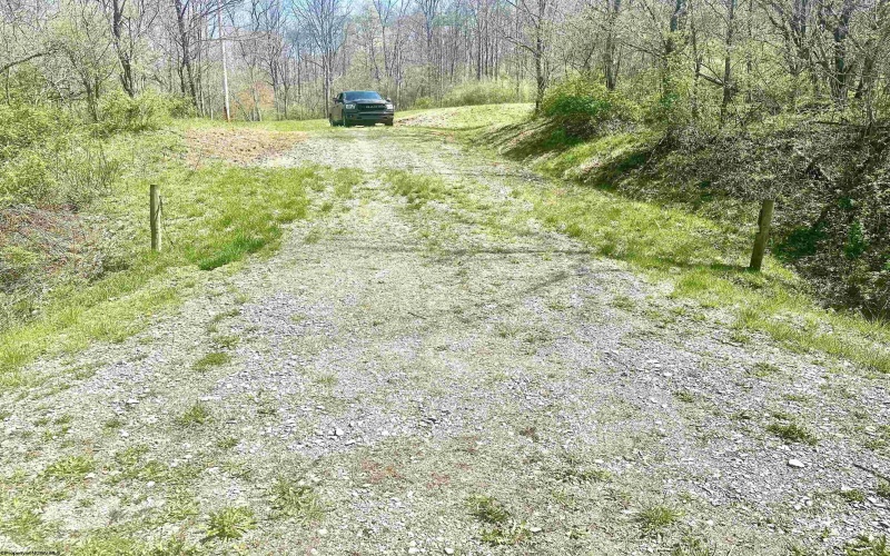 TBD Walkersville Road, Walkersville, West Virginia 26447, ,Lots/land,For Sale,Walkersville,10158939