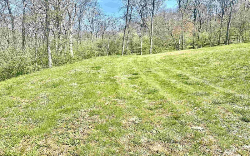 TBD Walkersville Road, Walkersville, West Virginia 26447, ,Lots/land,For Sale,Walkersville,10158939