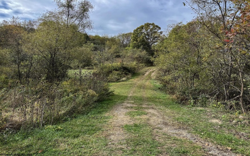 TBD Sixth Street, New Cumberland, West Virginia 26047, ,Lots/land,For Sale,Sixth,10162204