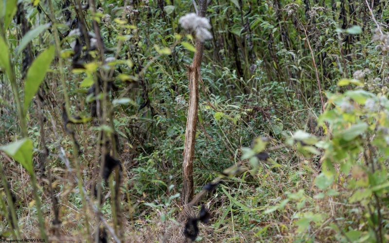 TBD Sixth Street, New Cumberland, West Virginia 26047, ,Lots/land,For Sale,Sixth,10162204