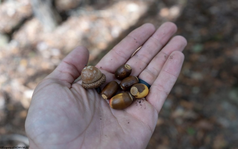 TBD Sixth Street, New Cumberland, West Virginia 26047, ,Lots/land,For Sale,Sixth,10162204