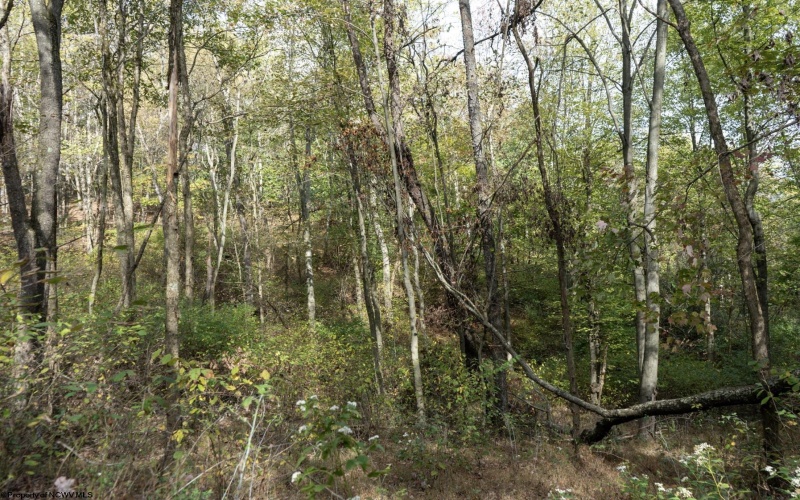 TBD Sixth Street, New Cumberland, West Virginia 26047, ,Lots/land,For Sale,Sixth,10162204