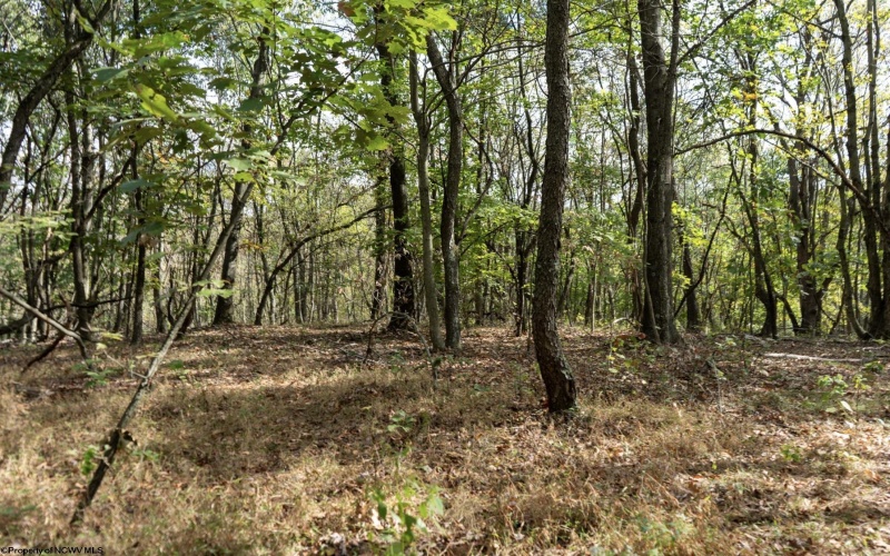 TBD Sixth Street, New Cumberland, West Virginia 26047, ,Lots/land,For Sale,Sixth,10162204