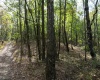 TBD Sixth Street, New Cumberland, West Virginia 26047, ,Lots/land,For Sale,Sixth,10162204