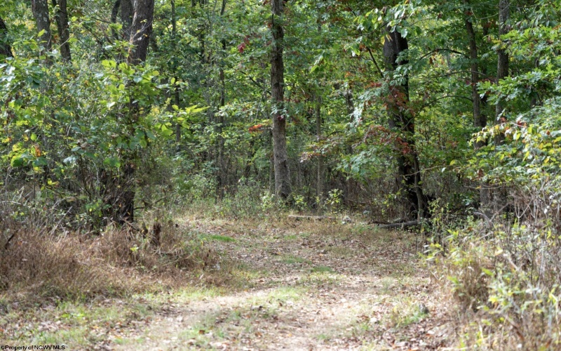 TBD Sixth Street, New Cumberland, West Virginia 26047, ,Lots/land,For Sale,Sixth,10162204