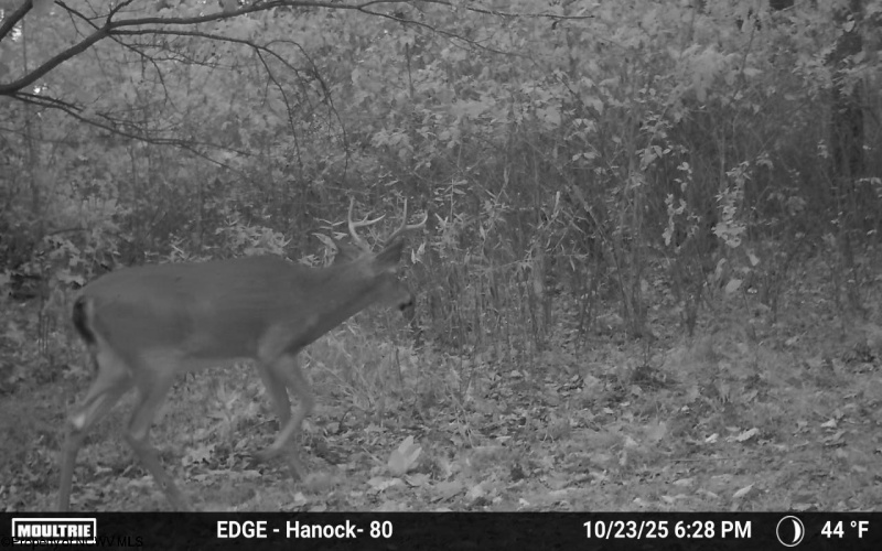 TBD Sixth Street, New Cumberland, West Virginia 26047, ,Lots/land,For Sale,Sixth,10162204