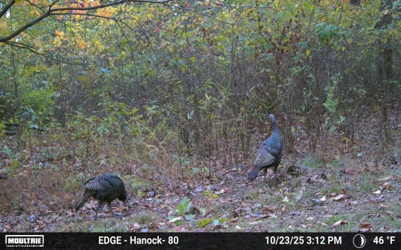 TBD Sixth Street, New Cumberland, West Virginia 26047, ,Lots/land,For Sale,Sixth,10162204