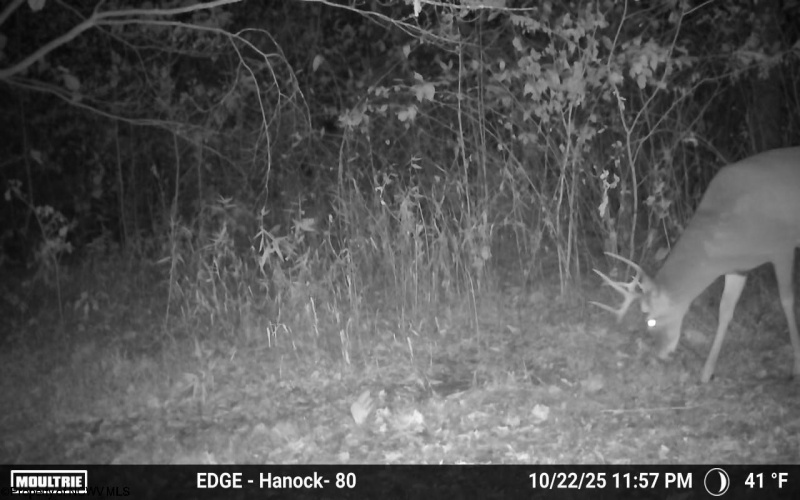 TBD Sixth Street, New Cumberland, West Virginia 26047, ,Lots/land,For Sale,Sixth,10162204