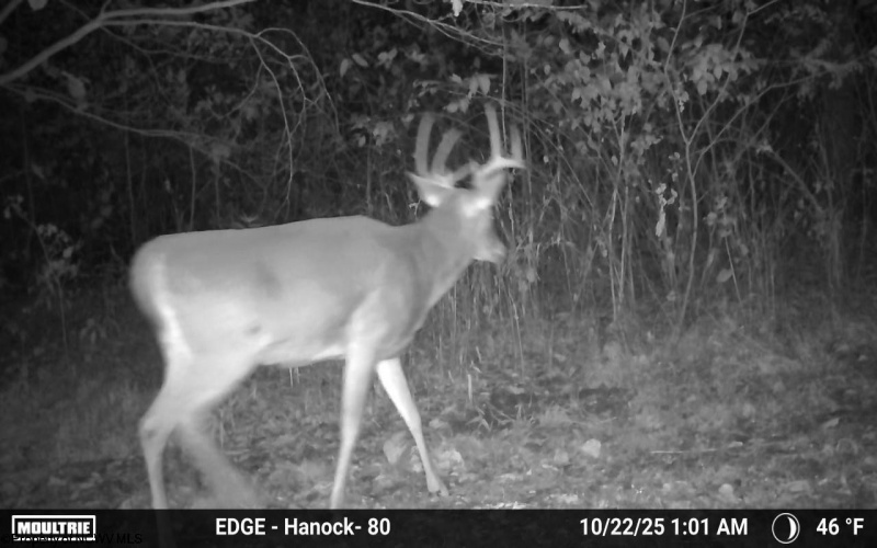 TBD Sixth Street, New Cumberland, West Virginia 26047, ,Lots/land,For Sale,Sixth,10162204