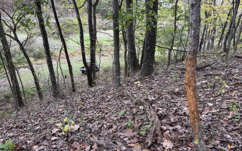 TBD Sixth Street, New Cumberland, West Virginia 26047, ,Lots/land,For Sale,Sixth,10162204