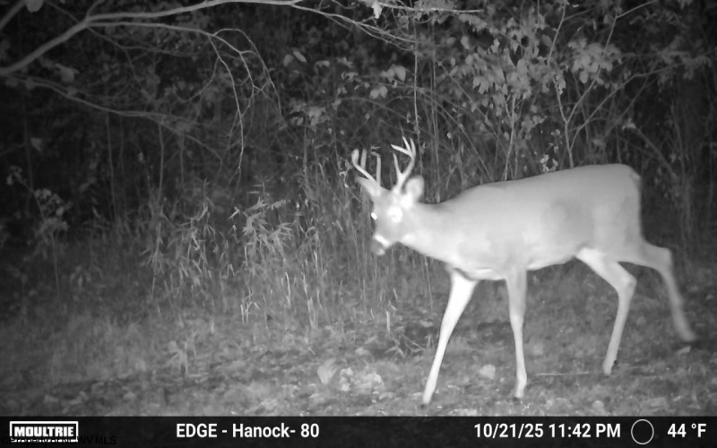 TBD Sixth Street, New Cumberland, West Virginia 26047, ,Lots/land,For Sale,Sixth,10162204