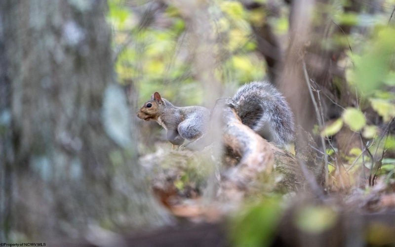 TBD Sixth Street, New Cumberland, West Virginia 26047, ,Lots/land,For Sale,Sixth,10162204