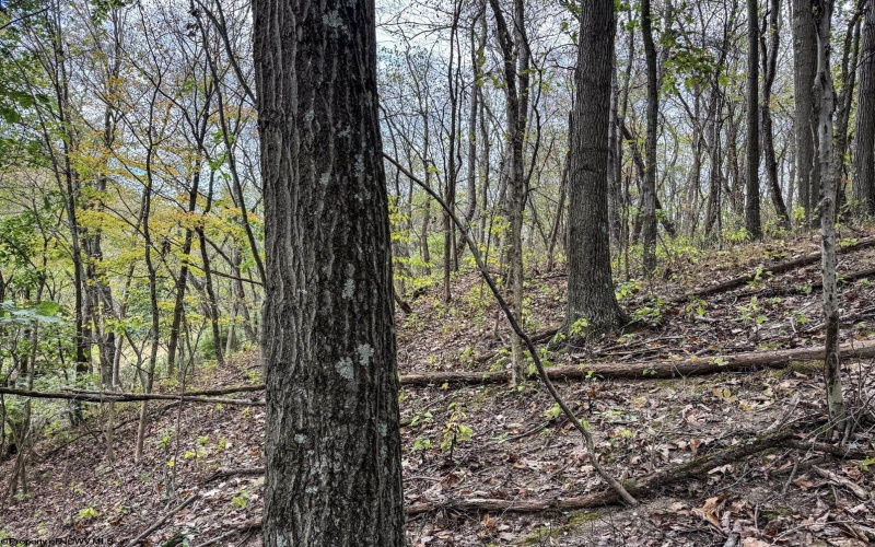 TBD Sixth Street, New Cumberland, West Virginia 26047, ,Lots/land,For Sale,Sixth,10162204