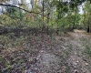 TBD Sixth Street, New Cumberland, West Virginia 26047, ,Lots/land,For Sale,Sixth,10162204