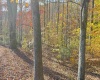 TBD Tenmile Road, Wallace, West Virginia 26448, ,Lots/land,For Sale,Tenmile,10162207