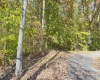 TBD Tenmile Road, Wallace, West Virginia 26448, ,Lots/land,For Sale,Tenmile,10162207