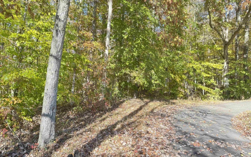 TBD Tenmile Road, Wallace, West Virginia 26448, ,Lots/land,For Sale,Tenmile,10162207