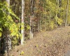 TBD Tenmile Road, Wallace, West Virginia 26448, ,Lots/land,For Sale,Tenmile,10162207