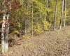 TBD Tenmile Road, Wallace, West Virginia 26448, ,Lots/land,For Sale,Tenmile,10162207