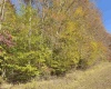 TBD Tenmile Road, Wallace, West Virginia 26448, ,Lots/land,For Sale,Tenmile,10162207